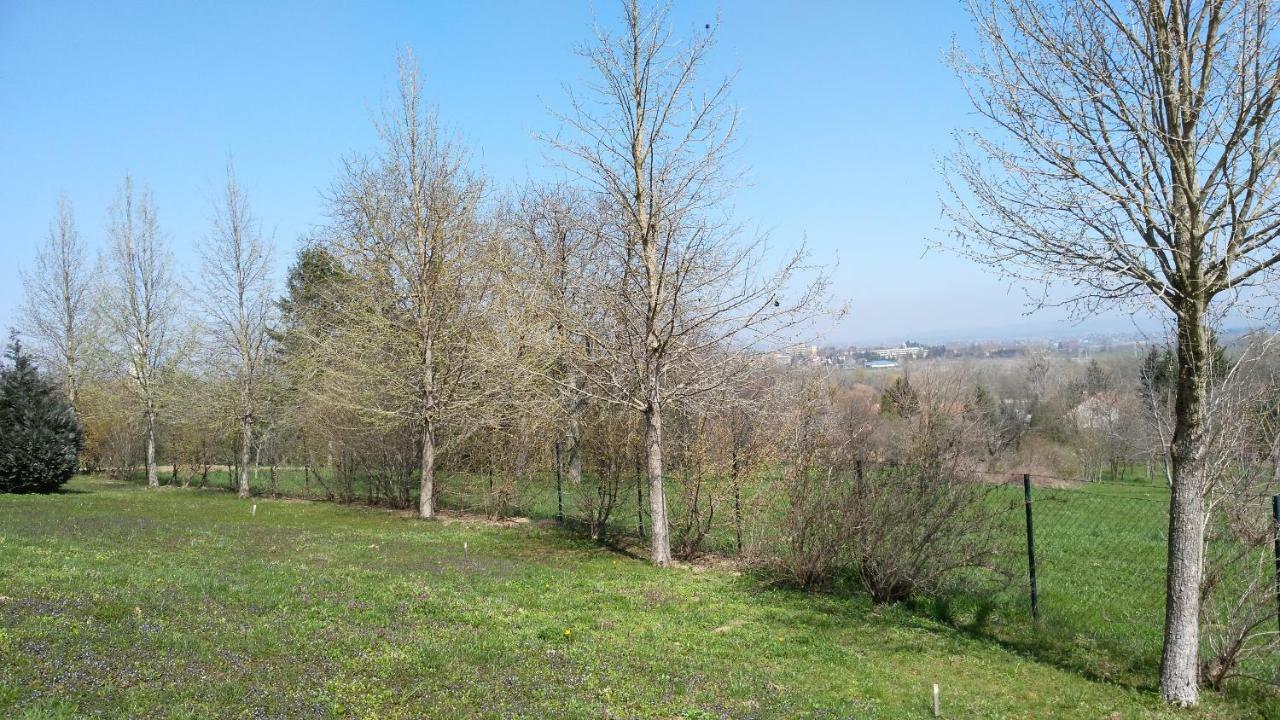 Modor Apartman Alsópáhok 외부 사진